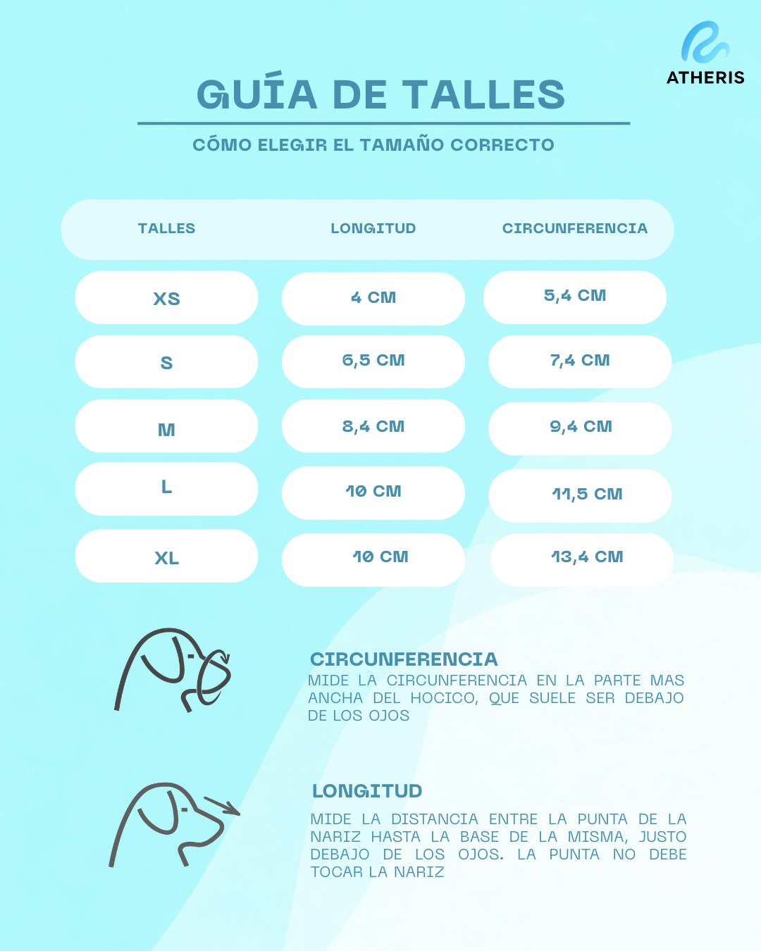 Guía de talles mascarillas